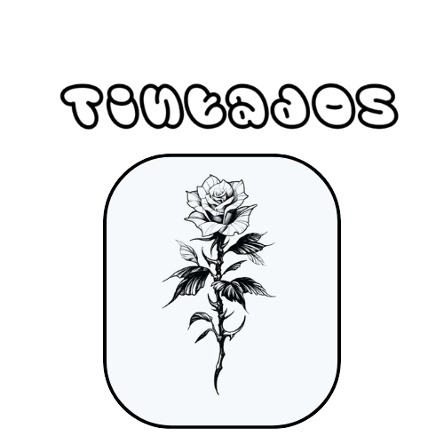 Tatuaje Pequeña: Rosa espinada