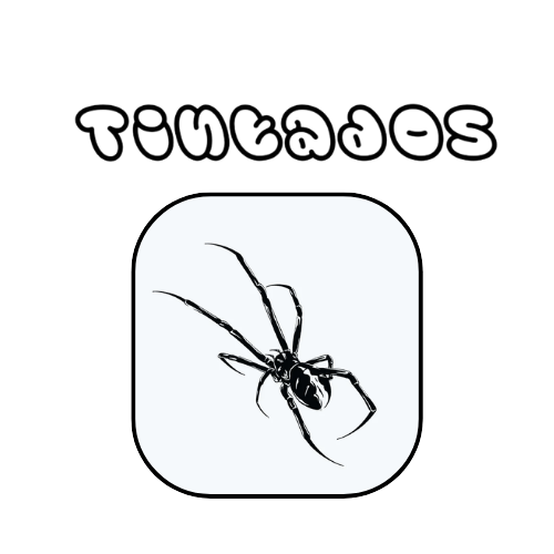 Tatuaje Grande: Araña a lo Choro